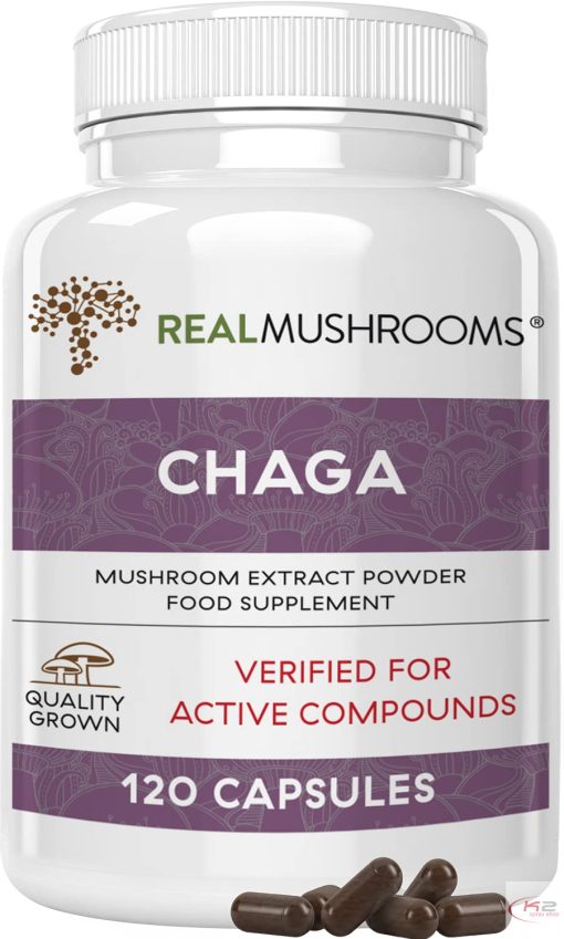 Buy Chaga Extract – 120 Capsules